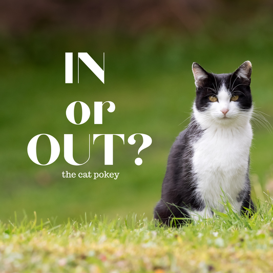 The Cat Hokey Pokey