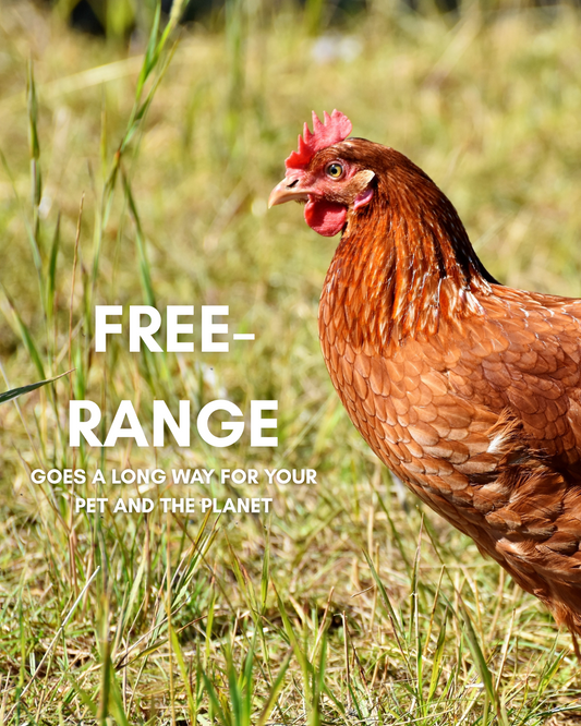 Free-Range