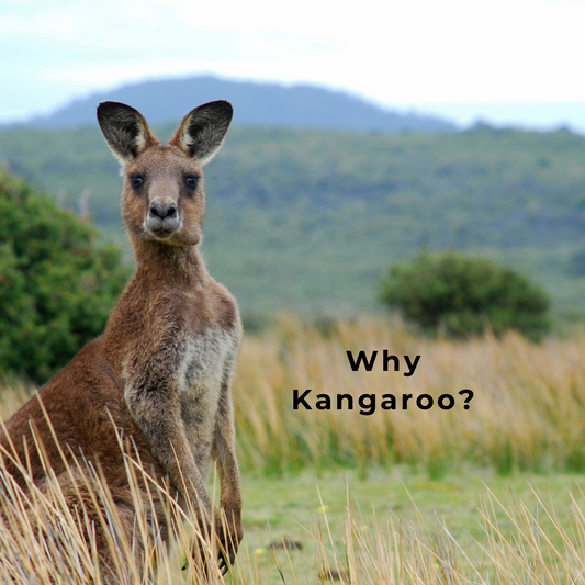 Is Kangaroo Meat Right For Your Pet?