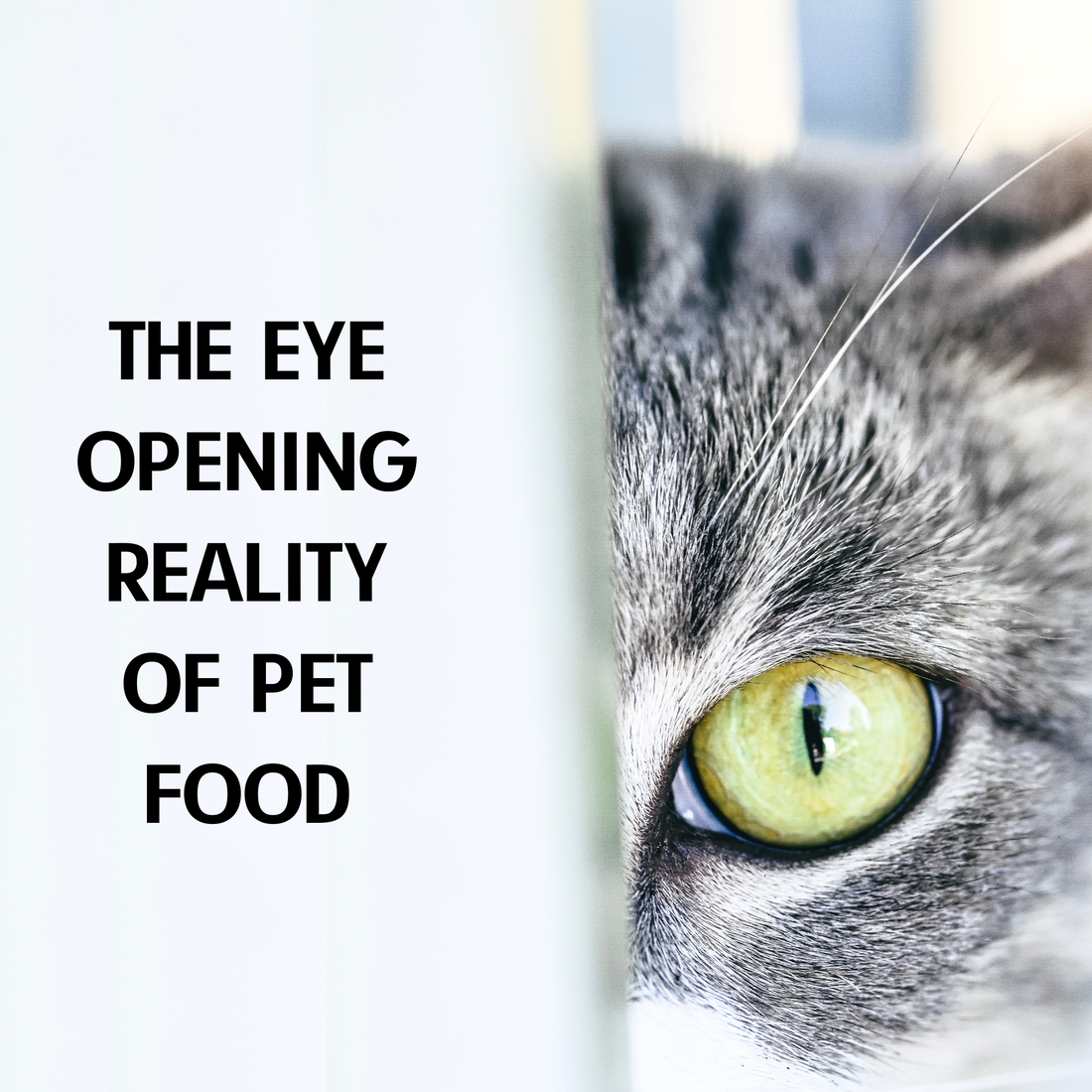 The eye-opening difference!