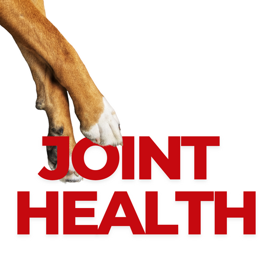 Joint Health