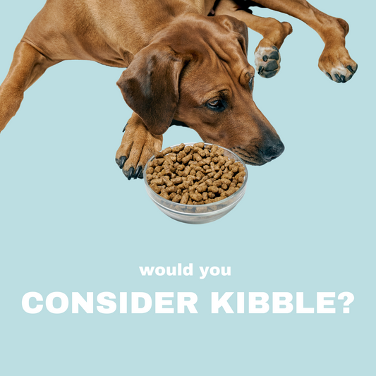 The real on kibble