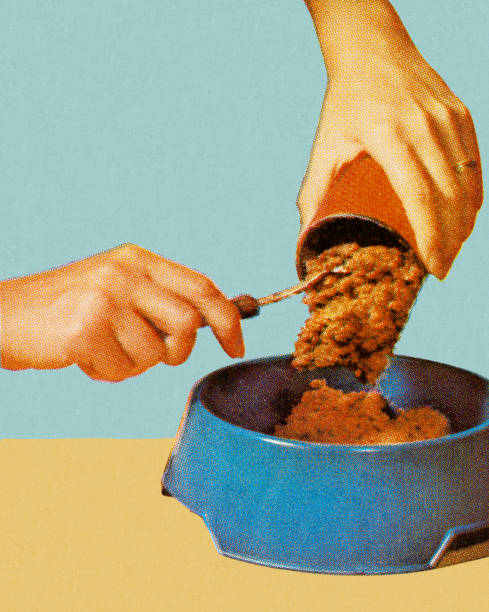 A can of dog food being tipped into a bowl, retro pin up style