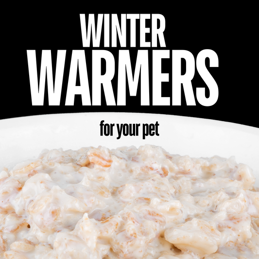 Warm Winter Snacks