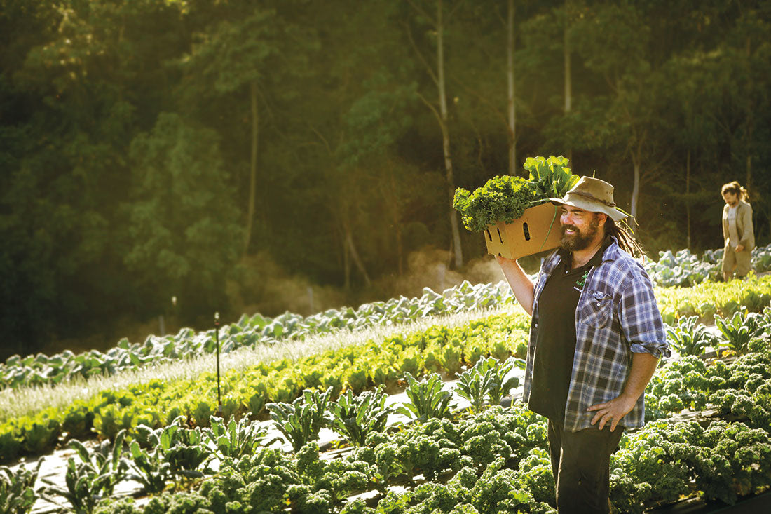 Produce Farmers