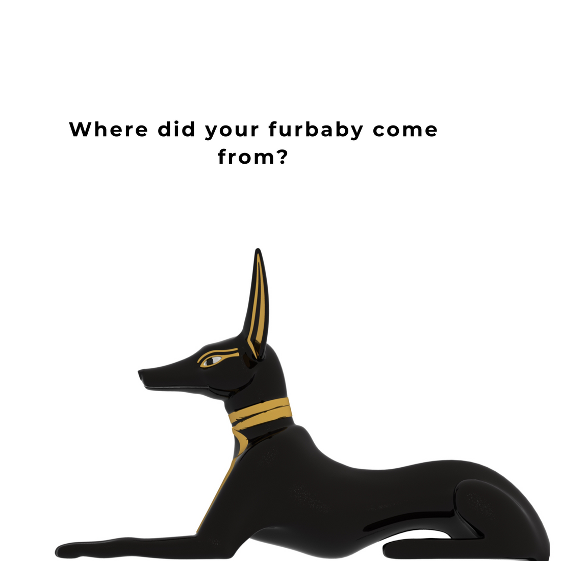 The evolution of dogs