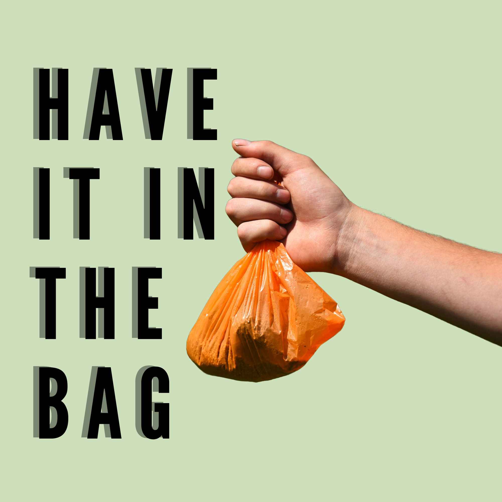 Have it in the Bag