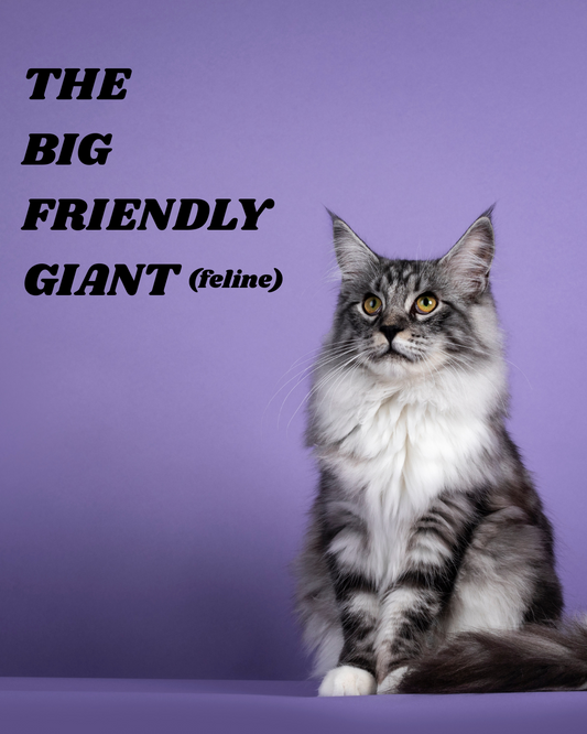 The Gentle Giant