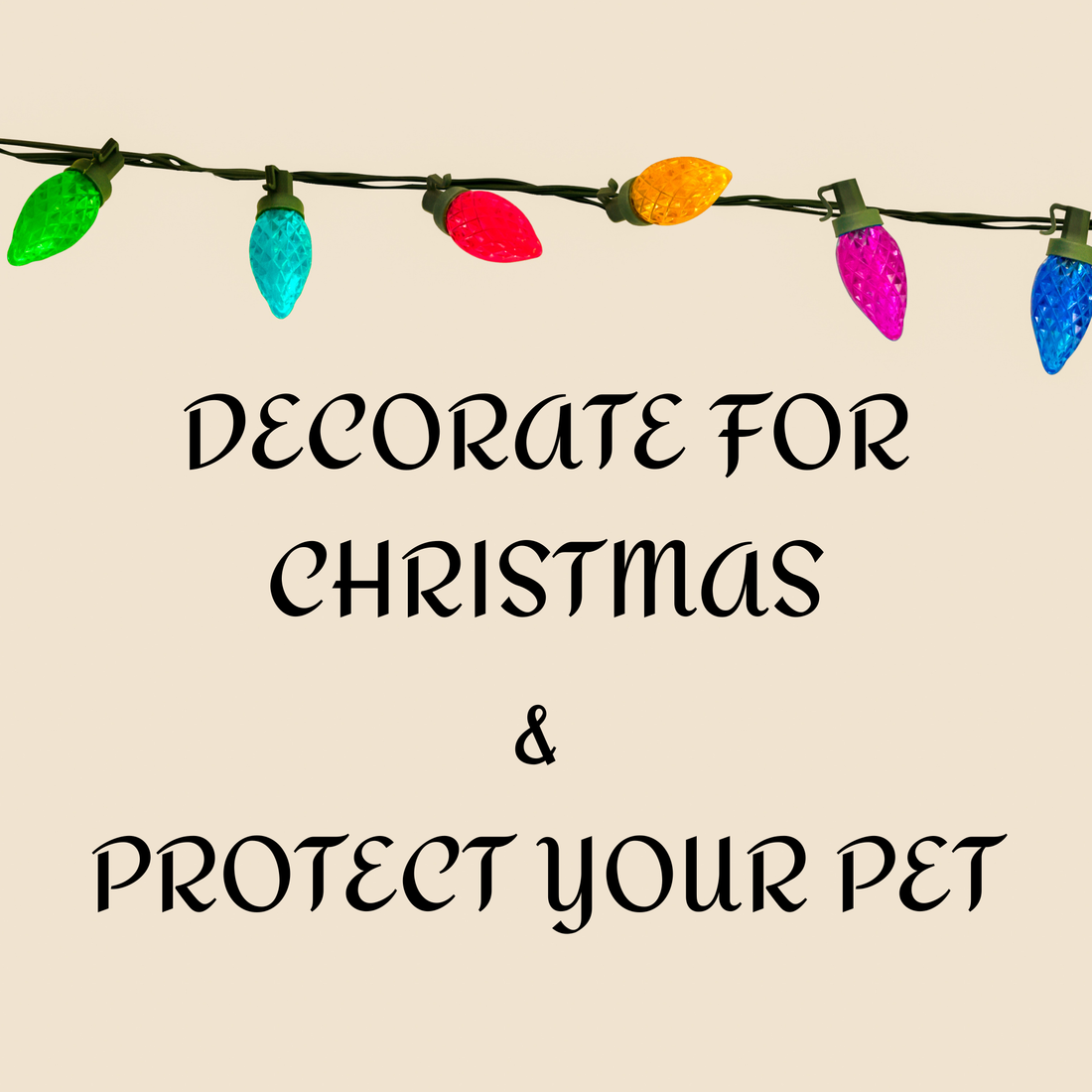Decorate & Enjoy This Christmas