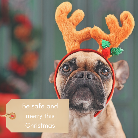 Safely Sharing Christmas with your Furry Friends