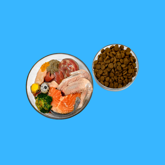 Free-Feeding: Would It Work For You?
