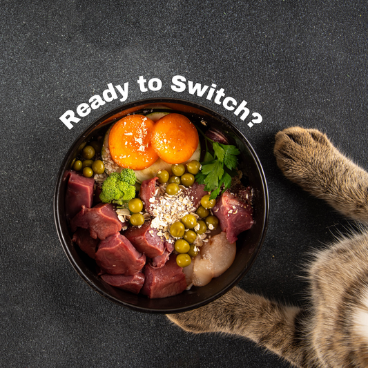 The Raw Truth on Raw Pet Food Diets