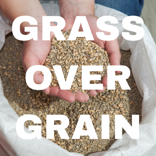 Grass not Grain