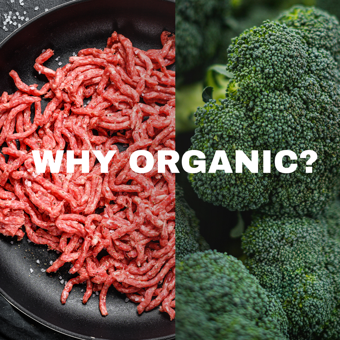 Why organic