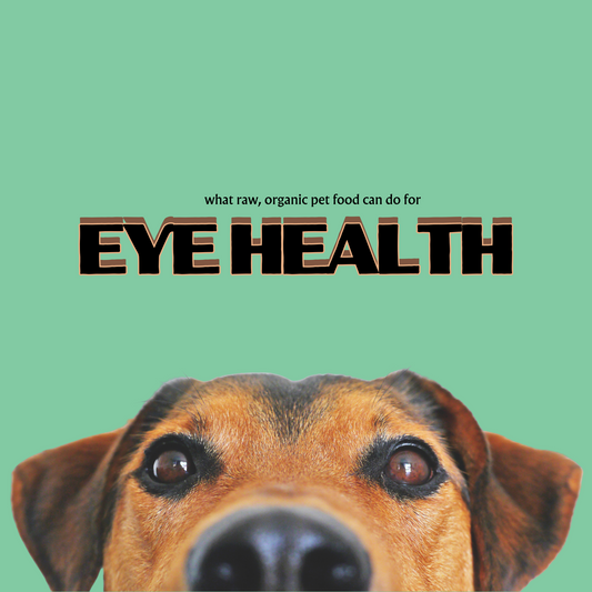 Eye Health