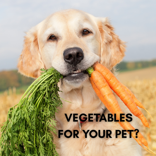 Veg in Bella & Boots